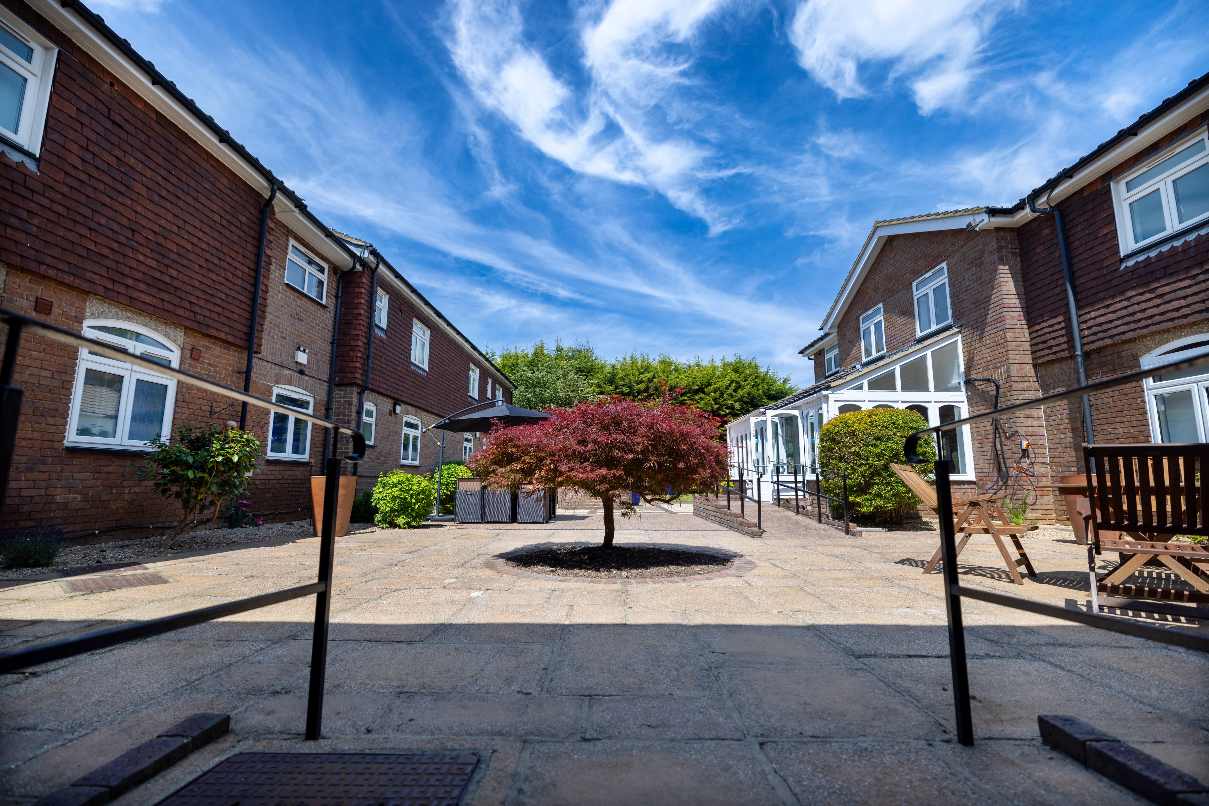 Central courtyard with Japanese maple tree